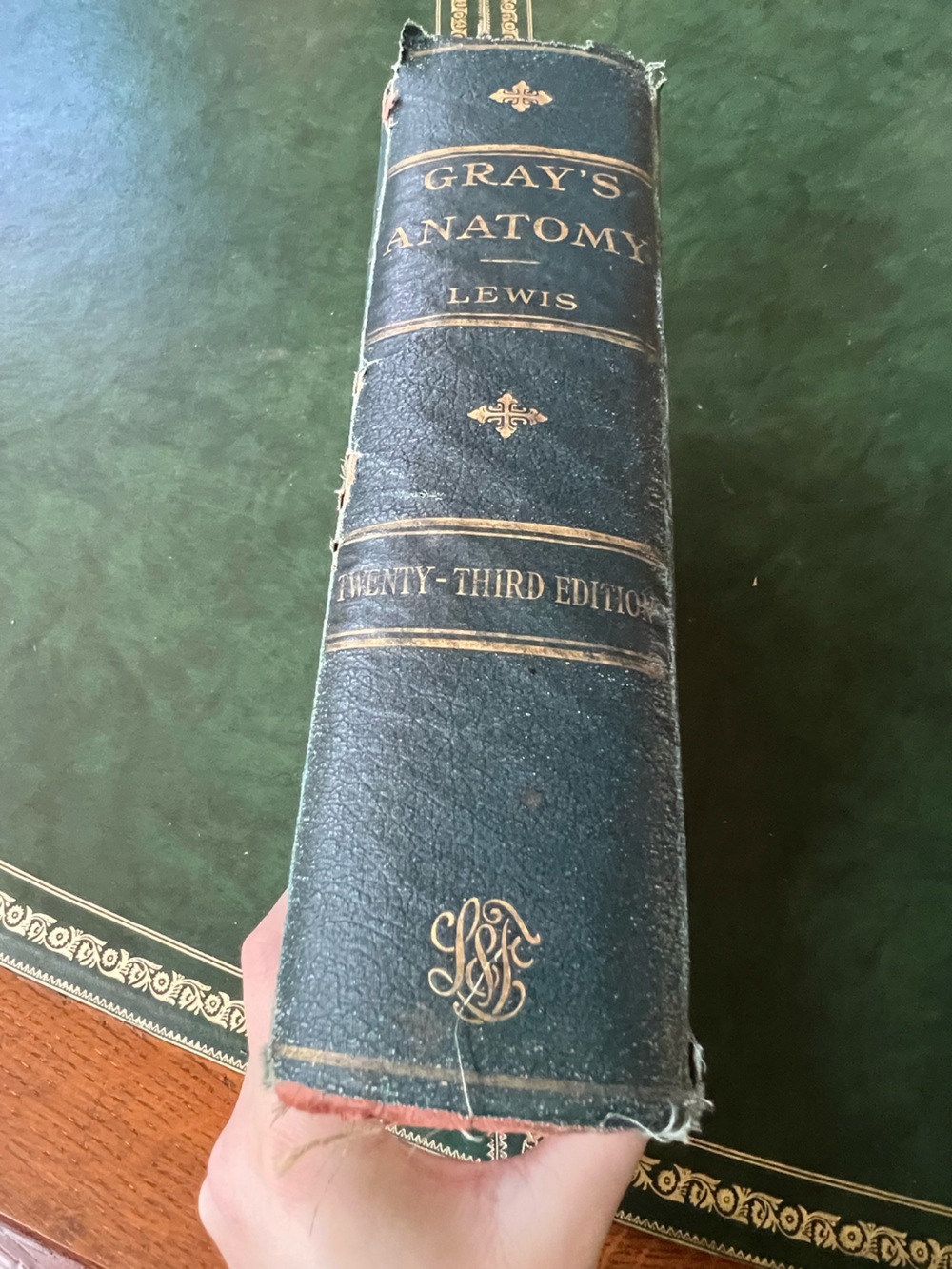 Antique Vintage 1936 23rd Edition Gray’s Anatomy of the Human Body Warren Lewis - Picture 2 of 12